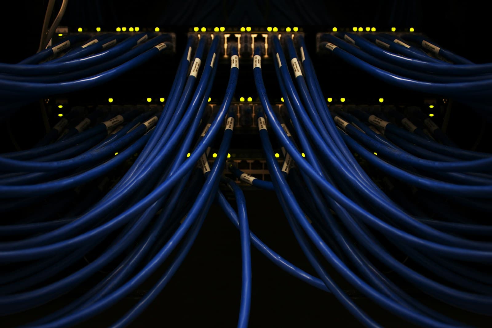 Blue network cables connected in a data system